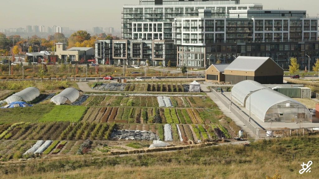 The Farm-to-Table Movement — AGRITECTURE