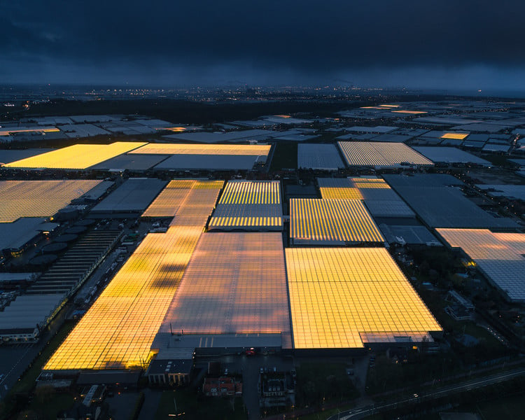 aerial view of illuminated greenhouses in Westland, Netherlands