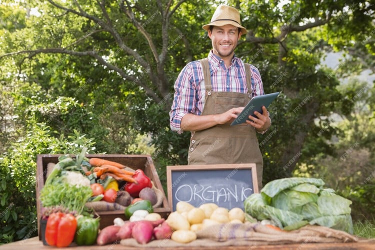 farmer-selling-organic-veg-market_13339-107147