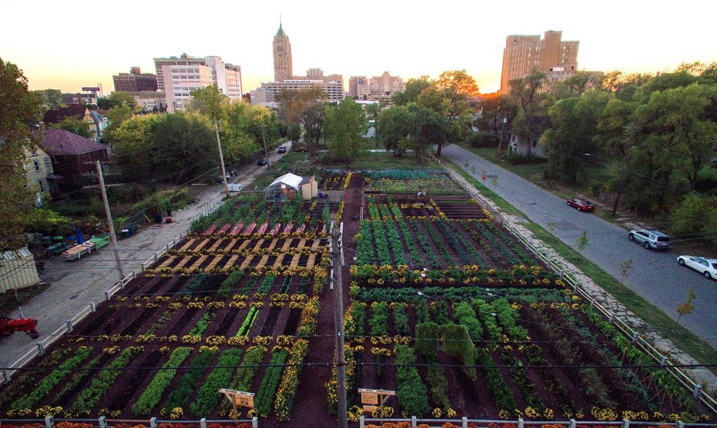 Aerial view of a vacant lot turned community garden in Detroit, Michigan